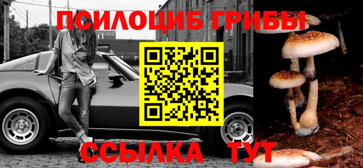 Коркино  Галлюциногенные грибы GOLDEN TEACHER  Вход с VPN 